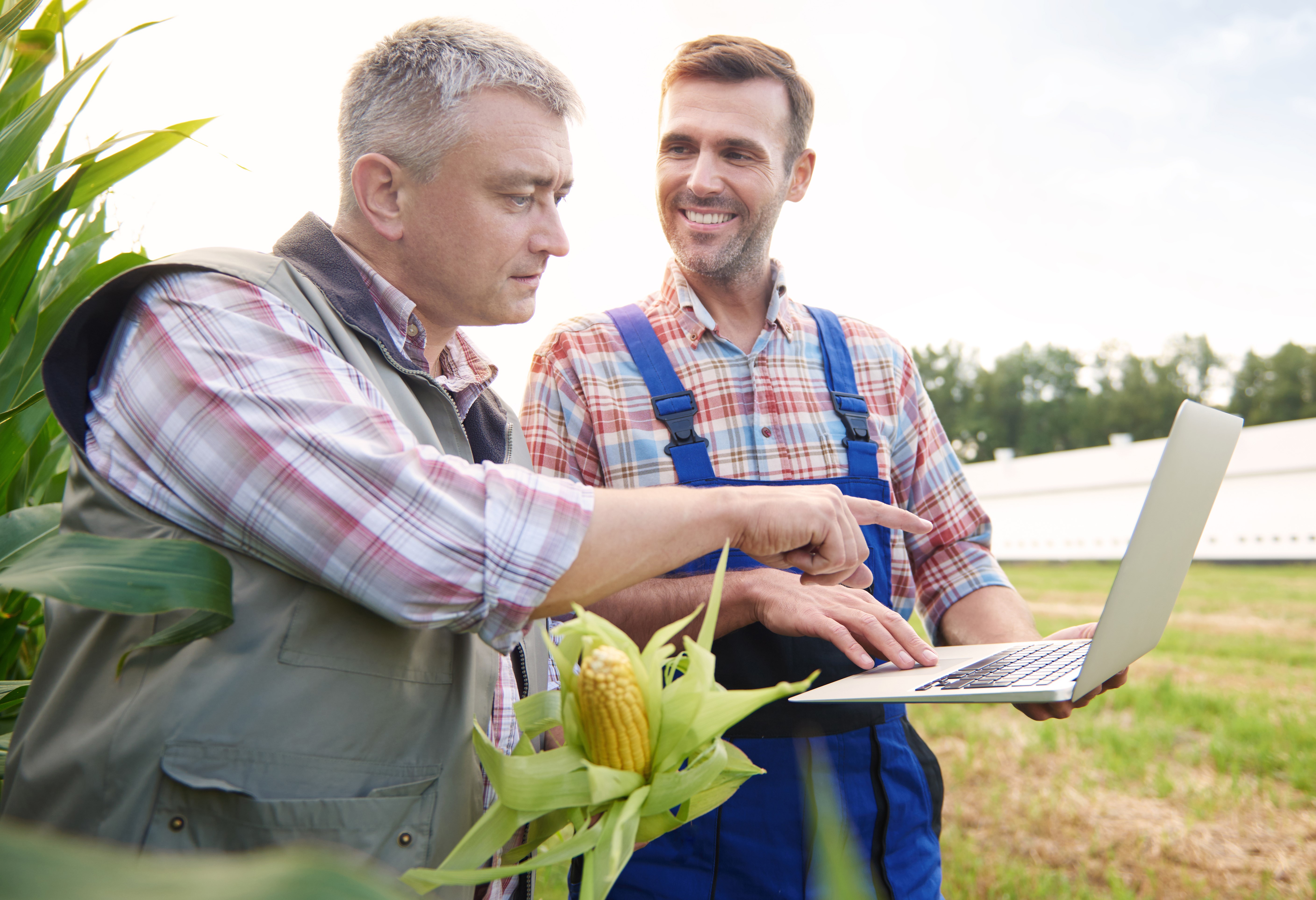 Fiducia e lavoro in rete tra imprese agricole
